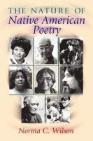 the Nature of Native American Poetry 1