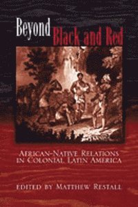 Matthew Restall, Matthew Restall - Beyond Black and Red, Häftad