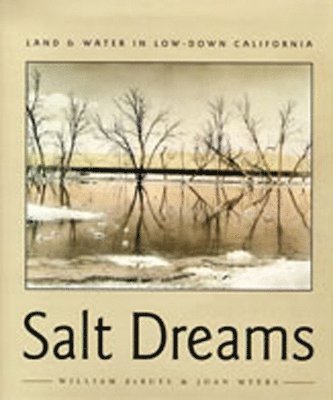 bokomslag Salt Dreams