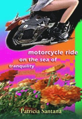 Motorcycle Ride on the Sea of Tranquility 1