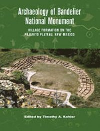 bokomslag Archaeology of Bandelier National Monument