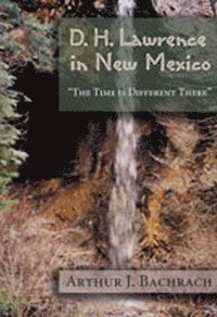 bokomslag D. H. Lawrence in New Mexico