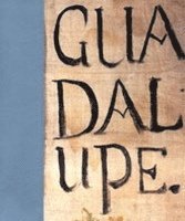 bokomslag Guadalupe (English)