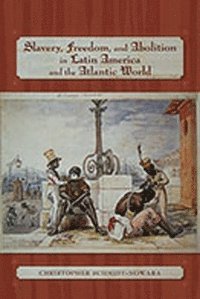 bokomslag Slavery, Freedom, and Abolition in Latin America and the Atlantic World