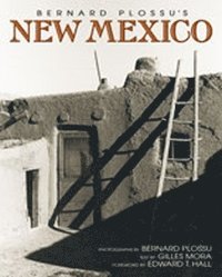 bokomslag Bernard Plossu's New Mexico