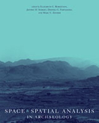 bokomslag Space and Spatial Analysis in Archaeology