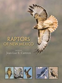 bokomslag Raptors of New Mexico