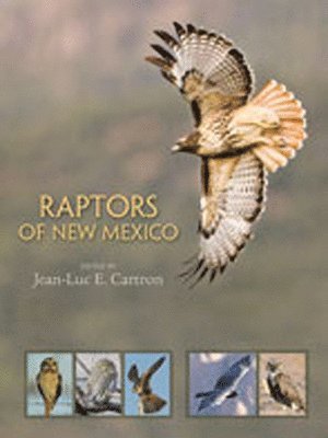 Raptors of New Mexico 1