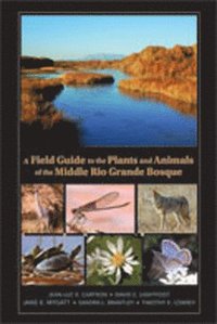 bokomslag A Field Guide to the Plants and Animals of the Middle Rio Grande Bosque