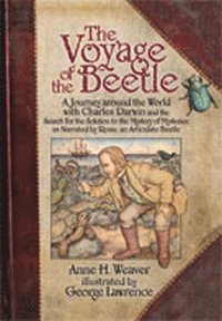 bokomslag The Voyage of the Beetle