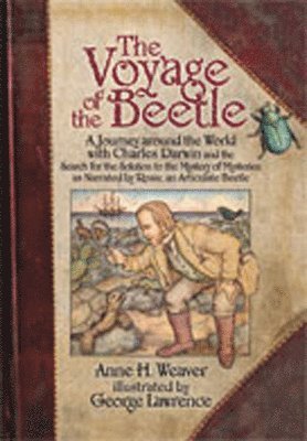 The Voyage of the Beetle 1