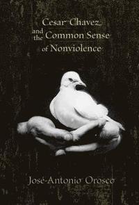 bokomslag Cesar Chavez and the Common Sense of Nonviolence