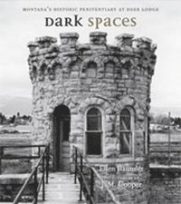 bokomslag Dark Spaces