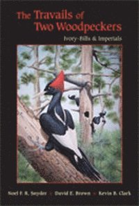 Noel F.R. Snyder, David E. Brown, Kevin B. Clark, Noel F. R. Snyder, Noel F R Snyder, David E Brown, Clark B Kevin - Travails of Two Woodpeckers, Inbunden