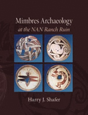 Mimbres Archaeology at the NAN Ranch Ruin 1