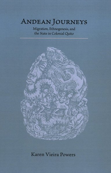 bokomslag Andean Journeys