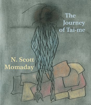 bokomslag Journey of Tai-me