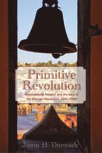 bokomslag Primitive Revolution