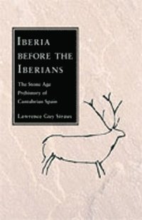 bokomslag Iberia before the Iberians