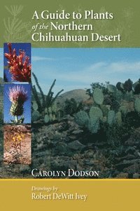 bokomslag Guide to Plants of the Northern Chihuahuan Desert