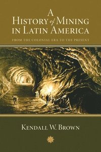 bokomslag A History of Mining in Latin America