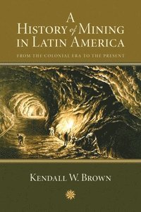 bokomslag History of Mining in Latin America