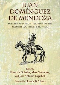 bokomslag Juan Domnguez de Mendoza