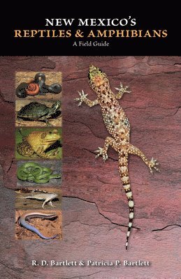 bokomslag New Mexico's Reptiles and Amphibians