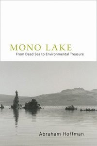 bokomslag Mono Lake