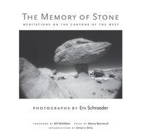 bokomslag The Memory of Stone