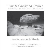 bokomslag Memory of Stone