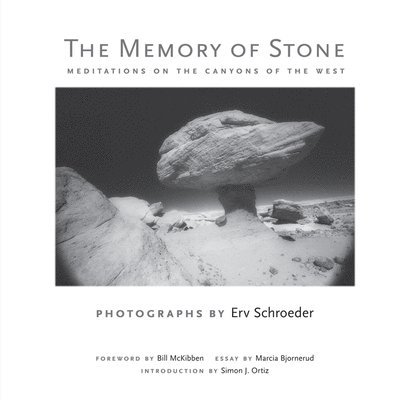 The Memory of Stone 1