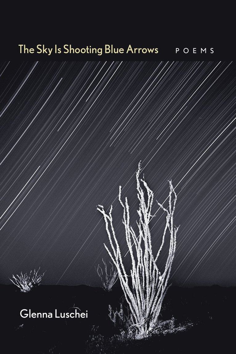 Glenna Luschei, Noel Woodward - Sky Is Shooting Blue Arrows, Häftad