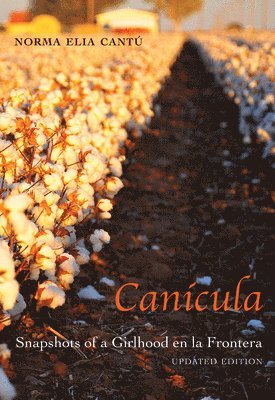 bokomslag Cancula