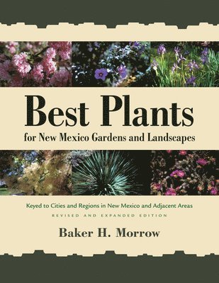 Best Plants for New Mexico Gardens and Landscapes 1