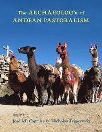bokomslag The Archaeology of Andean Pastoralism