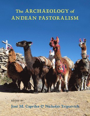 The Archaeology of Andean Pastoralism 1
