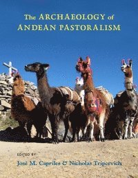 Jose M. Capriles, Nicholas Tripcevich, José M. Capriles - Archaeology of Andean Pastoralism, Inbunden