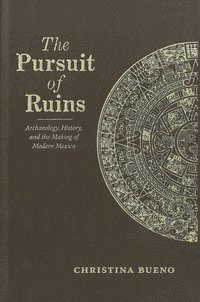 bokomslag Pursuit of Ruins