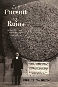bokomslag Pursuit of Ruins