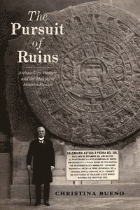 bokomslag Pursuit of Ruins