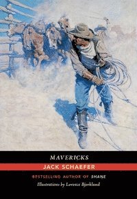 bokomslag Mavericks