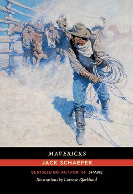 Mavericks 1