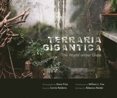 bokomslag Terraria Gigantica