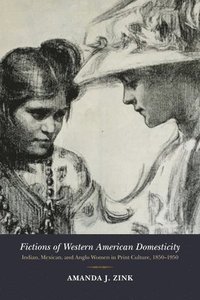 bokomslag Fictions of Western American Domesticity