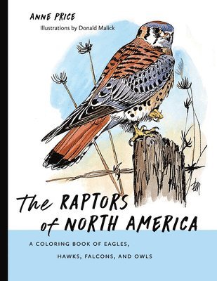 Anne Price, Donald Malick - Raptors of North America, Häftad
