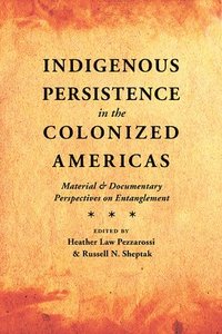 bokomslag Indigenous Persistence in the Colonized Americas
