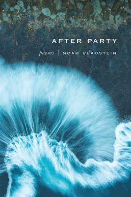 Noah Blaustein - After Party, Häftad