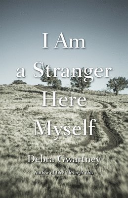 I Am a Stranger Here Myself 1