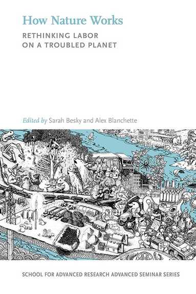 Sarah Besky, Sarah Besky, Alex Blanchette - How Nature Works, Häftad
